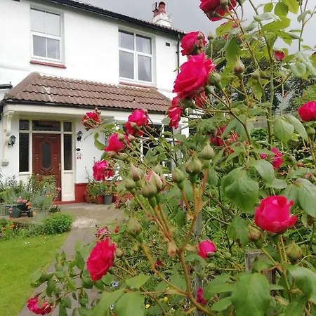 Beechlands *