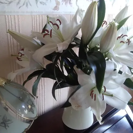 Beechlands * Sleights