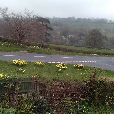 Beechlands