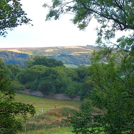 Beechlands * Sleights