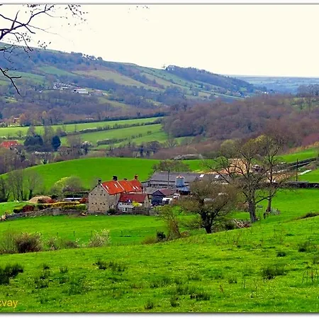 Beechlands Bed and breakfast *