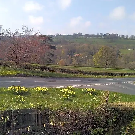 Beechlands